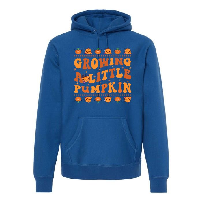 Retro Growing A Little Pumpkin Cute New Mom Fall Pregnancy Gift Premium Hoodie