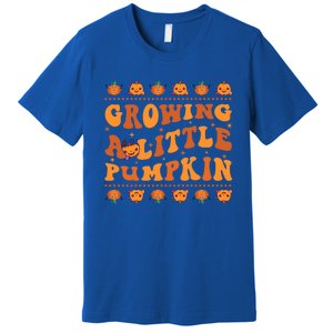 Retro Growing A Little Pumpkin Cute New Mom Fall Pregnancy Gift Premium T-Shirt