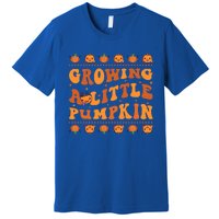 Retro Growing A Little Pumpkin Cute New Mom Fall Pregnancy Gift Premium T-Shirt