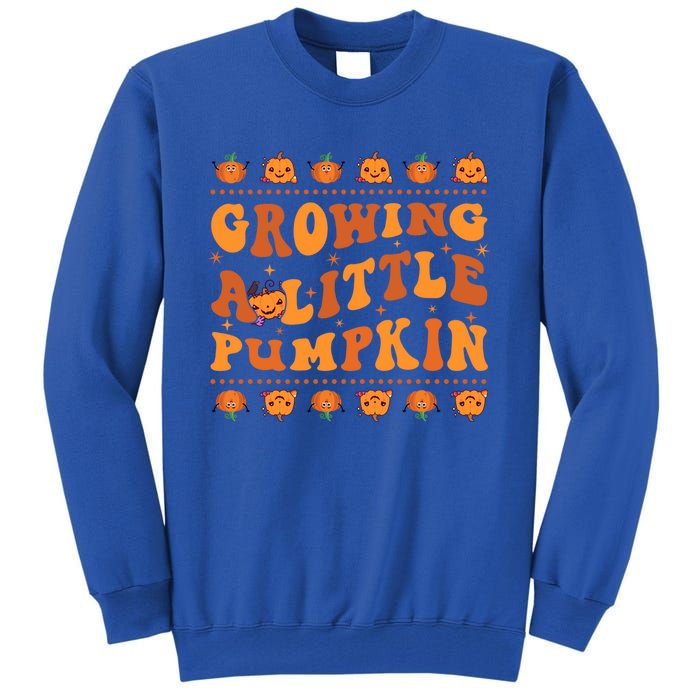 Retro Growing A Little Pumpkin Cute New Mom Fall Pregnancy Gift Tall Sweatshirt