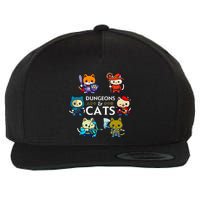 Rpg Gamer And Cats D20 Dice Nerdy Wool Snapback Cap