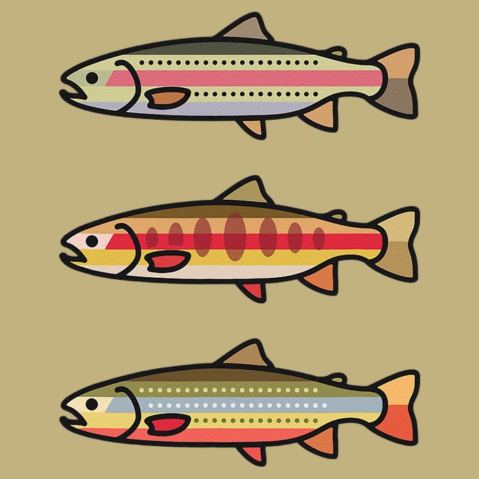 Rainbow Golden Brook Trout Fishing Gift For Anglers Cooling Performance Crew T-Shirt