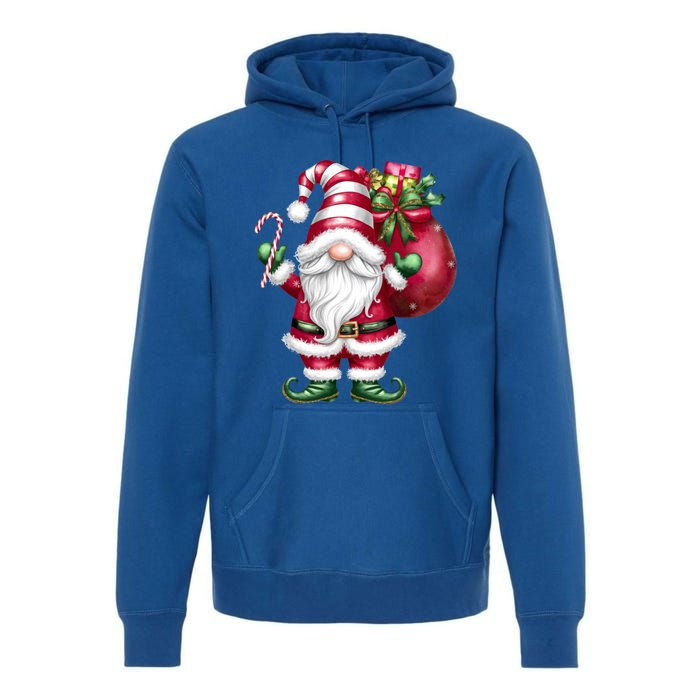 Retro Gnome Family Christmas Winter Holidays Santa Gnome Meaningful Gift Premium Hoodie