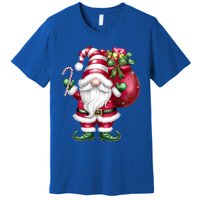 Retro Gnome Family Christmas Winter Holidays Santa Gnome Meaningful Gift Premium T-Shirt