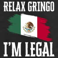 Relax Gringo Im Legal Funny 11oz C Handle Ceramic Mug