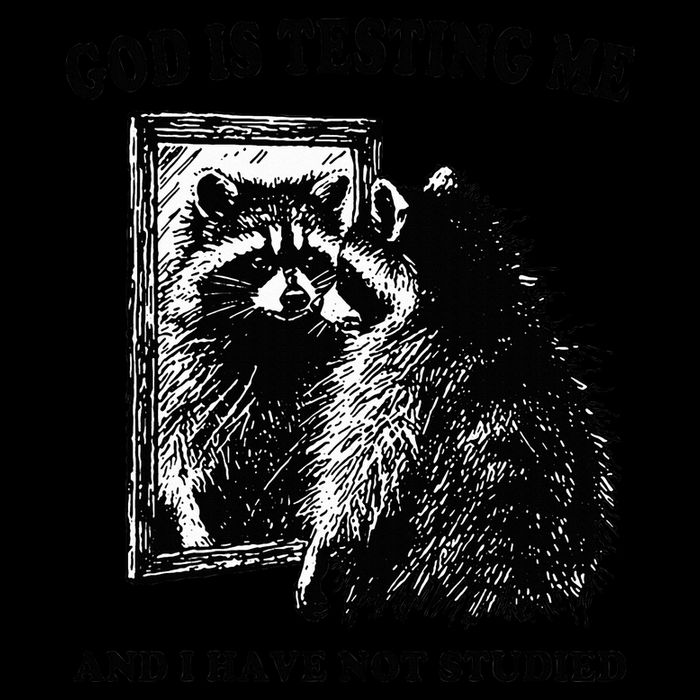 Raccoon God Is Testing Me And I Have Not Studied 16 in Basic Backpack
