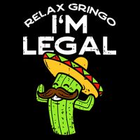 Relax Gringo Im Legal Funny Cinco De Mayo Mexican Immigrant Poster