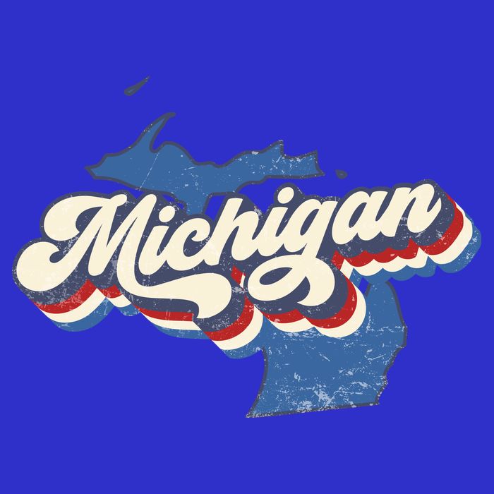 Retro Groovy Michigan Sweatshirt