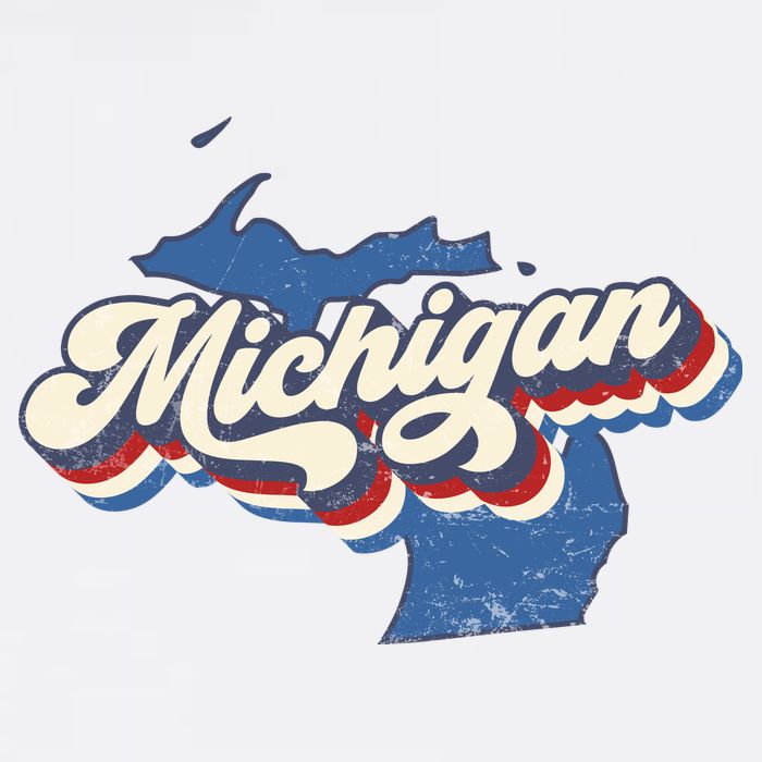Retro Groovy Michigan Garment-Dyed Sweatshirt