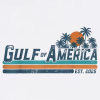 Retro Gulf Of Usa America Est 2025 American Flag Gulf Mexico Cooling Performance Crew T-Shirt