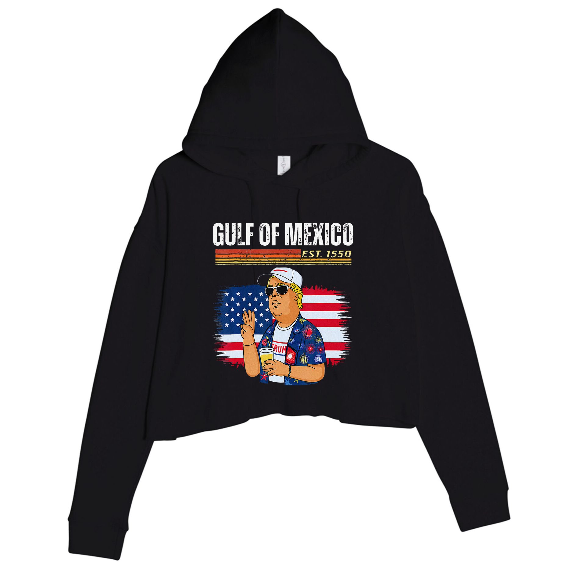 Retro Gulf Of Mexico Historic Gulf Of Mexico Map Crop Fleece Hoodie