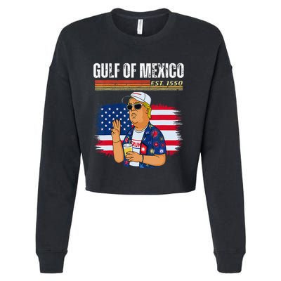 Retro Gulf Of Mexico Historic Gulf Of Mexico Map Cropped Pullover Crew
