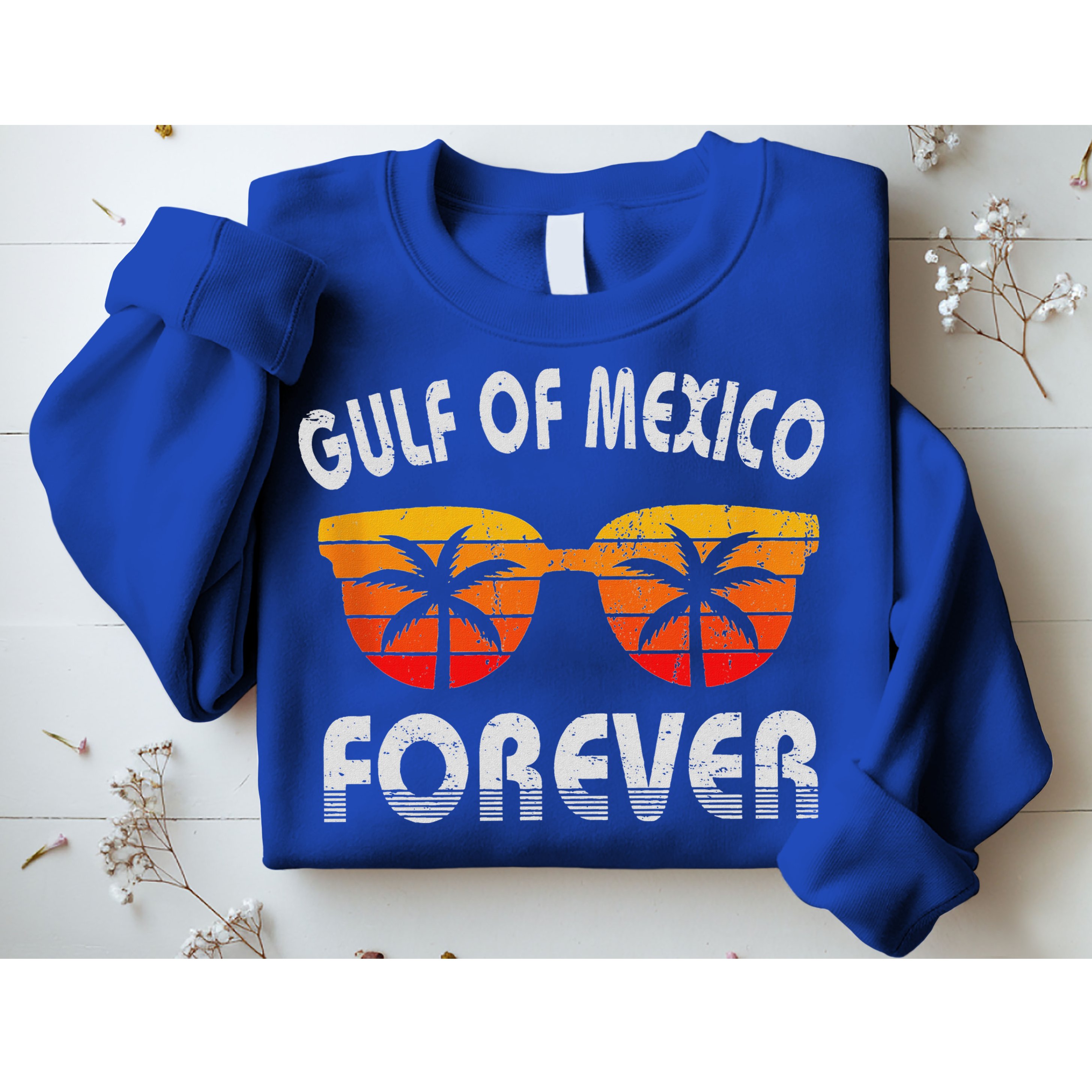 Retro Gulf Of Mexico Forever Sweatshirt