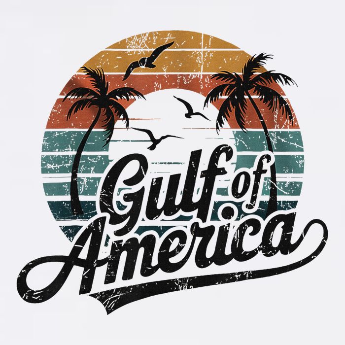 Retro Gulf Of Usa America 2025 American Flag Gulf Mexico Toddler T-Shirt