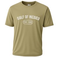 Retro Gulf Of Mexico Est 1550 Mexican Flag For S Cooling Performance Crew T-Shirt