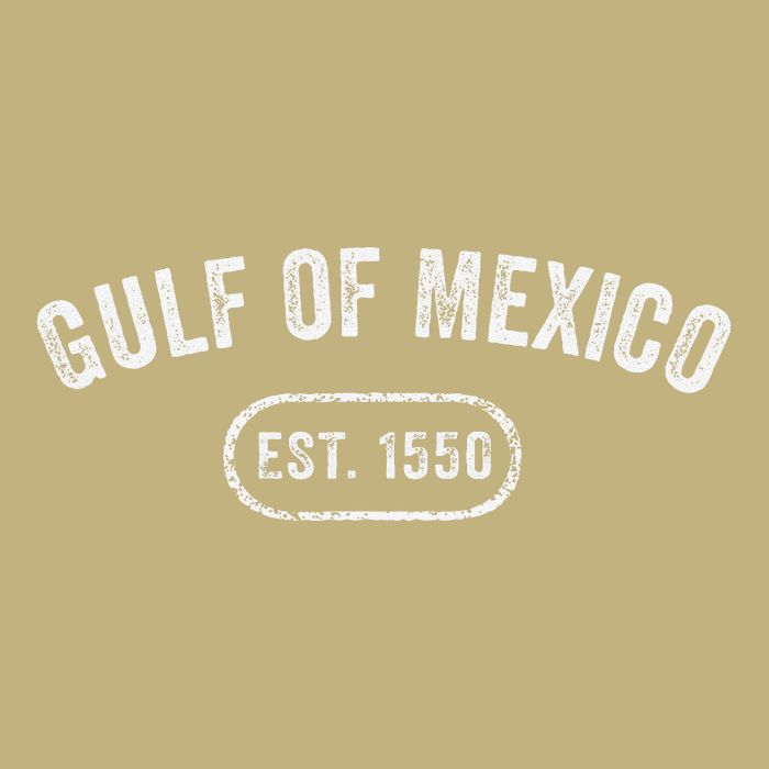 Retro Gulf Of Mexico Est 1550 Mexican Flag For S Cooling Performance Crew T-Shirt