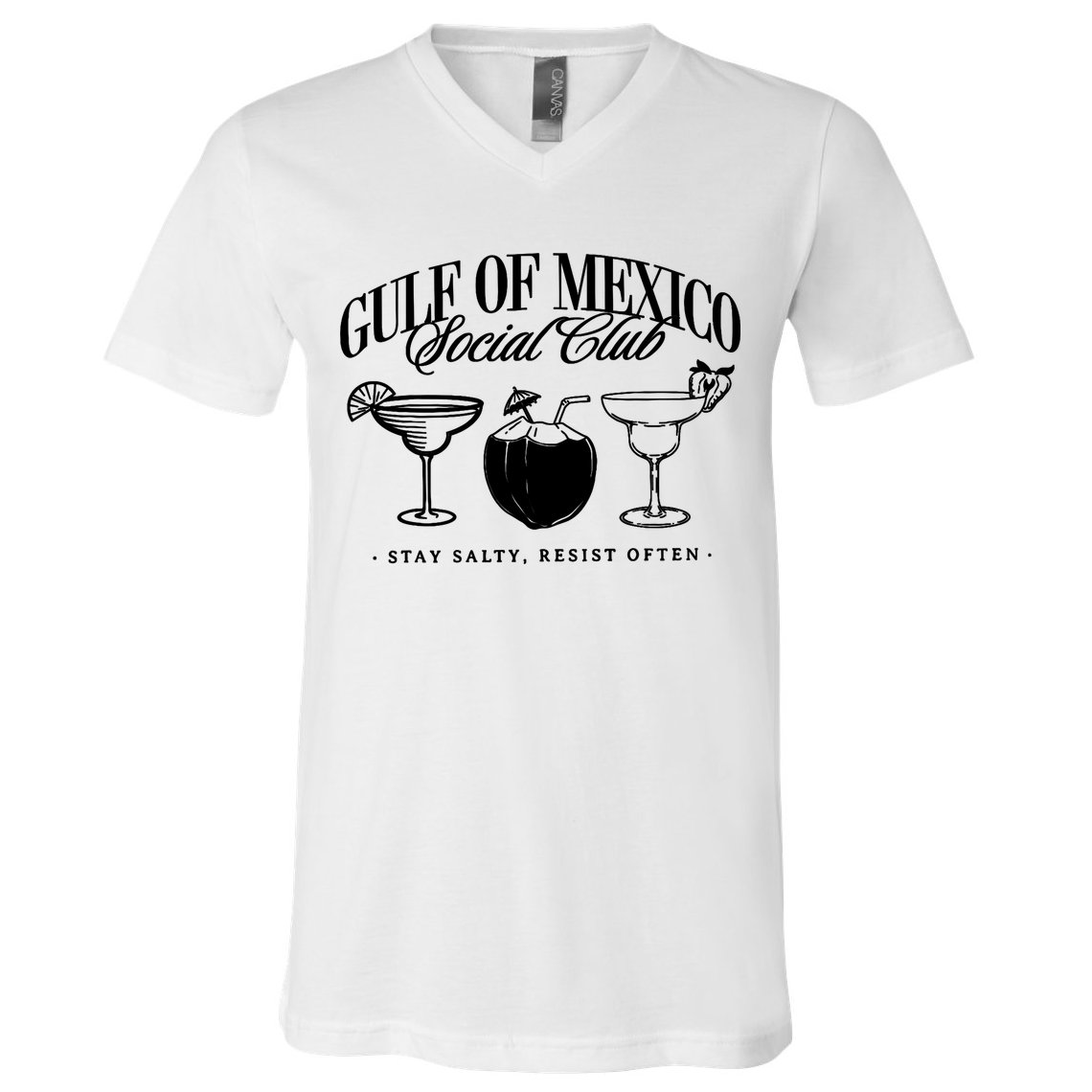 Retro Gulf Of Mexico Social Club Progressive Liberal V-Neck T-Shirt