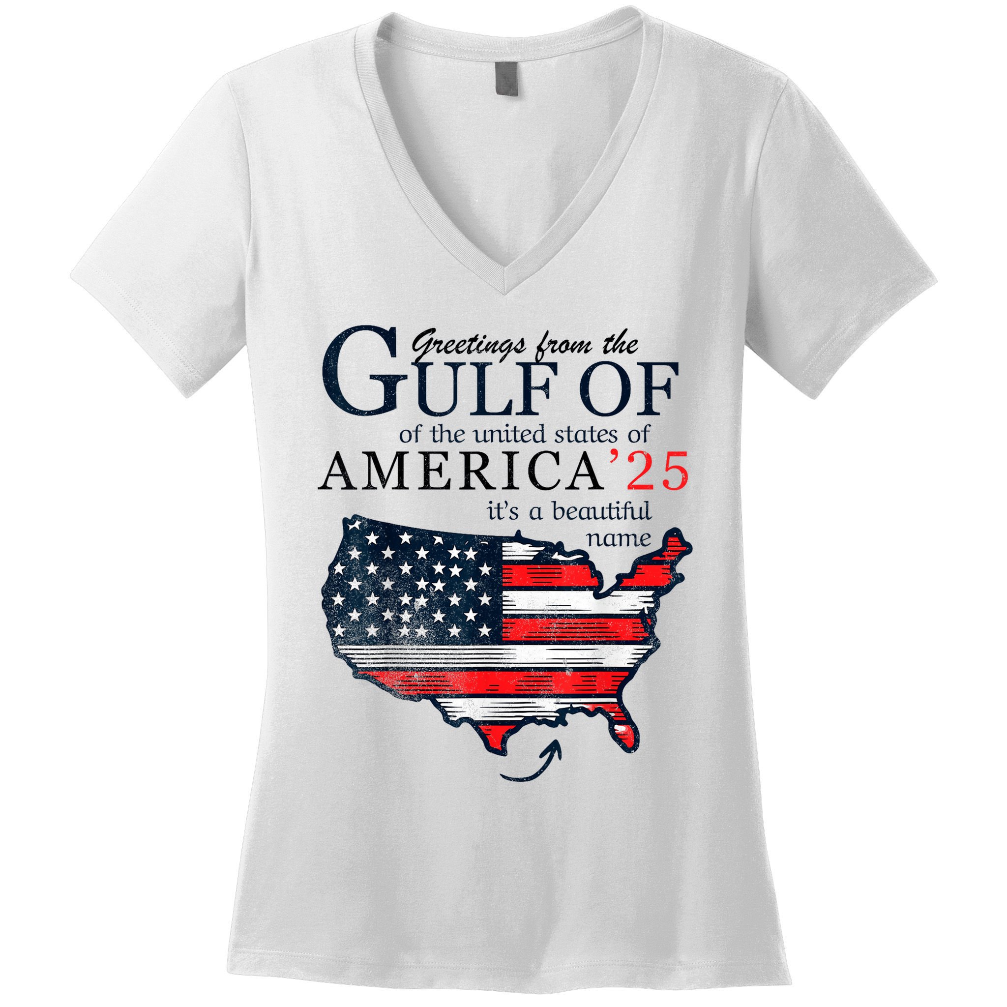 Retro Gulf Of Usa America Funny Gulf Of Mexico July 4th Women's V-Neck T-Shirt