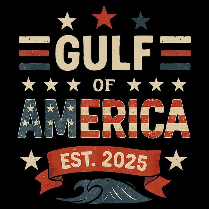 Retro Gulf Of Usa America Since 2025 American Flag Usa Gulf City Backpack