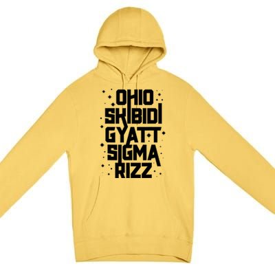 Rizz Gyatt Ohio Sigma Funny Rizzler Gift Toilet Meme Premium Pullover Hoodie