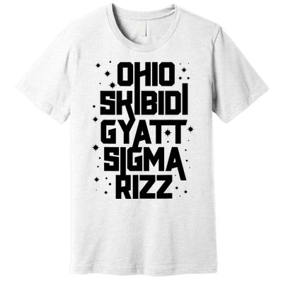 Rizz Gyatt Ohio Sigma Funny Rizzler Gift Toilet Meme Premium T-Shirt