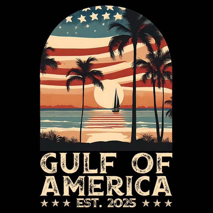 Retro Gulf Of Usa America Est 2025 American Flag Gulf Mexico President Trump Flat Bill Trucker Hat