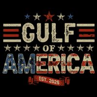 Retro Gulf Of USA America Est 2025 American Flag Gulf Mexico Toddler T-Shirt