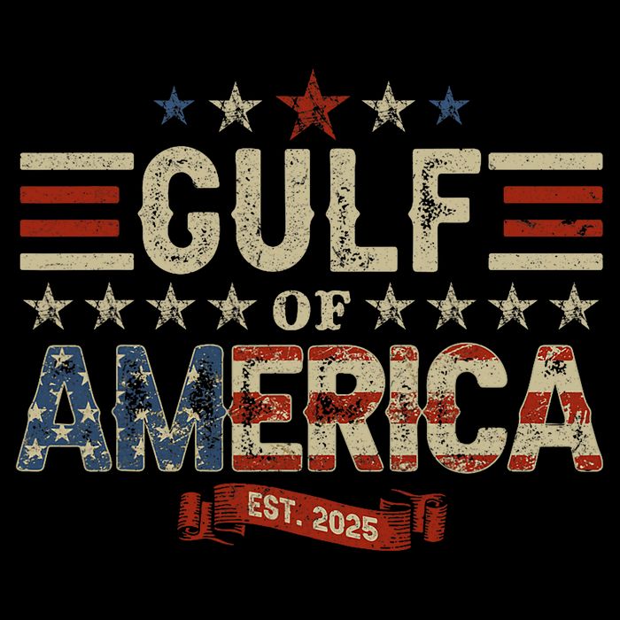 Retro Gulf Of USA America Est 2025 American Flag Gulf Mexico Toddler T-Shirt