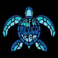 Retro Gulf Of Mexico 1569 Summer Vibes Vintage Art .Png Tall T-Shirt