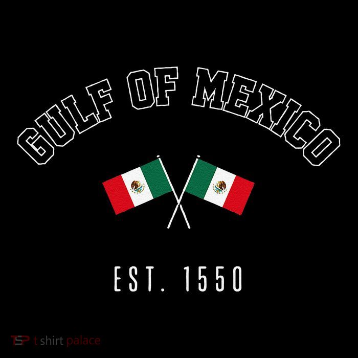 Retro Gulf Of Mexico Est. 1550 Mexican Flag Gulf Forever Women's V-Neck T-Shirt