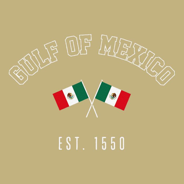 Retro Gulf Of Mexico Est. 1550 Mexican Flag Gulf Forever Cooling Performance Crew T-Shirt