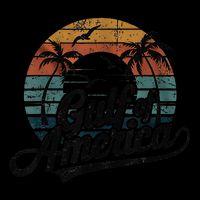Retro Gulf Of Usa America 2025 American Flag Gulf Mexico Womens T-Shirt