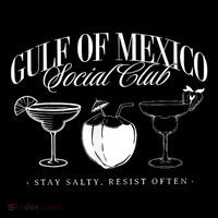 Retro Gulf Of Mexico Social Club Progressive Liberal Poster