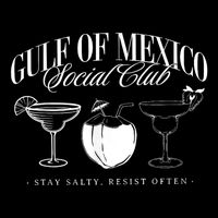 Retro Gulf Of Mexico Social Club Progressive Liberal Womens Tank Top