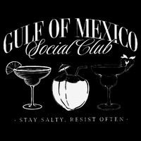Retro Gulf Of Mexico Social Club Progressive Liberal Gift Poster