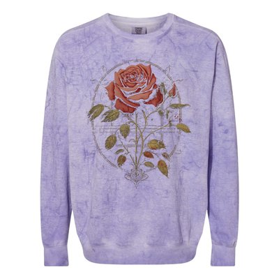 Red Goth Rose Flowers Witchcraft Gothic Aesthetic Colorblast Crewneck Sweatshirt