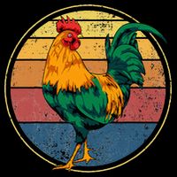 Rooster Gift T-Shirt