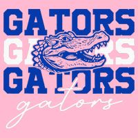 Retro Gators School Sports Name Team Magnet