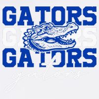 Retro Gators School Sports Name Team Bucket Hat