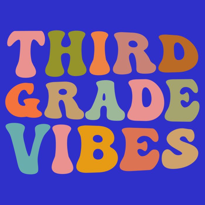 Retro Groovy Third Grade Vibes 3Rd Grade First Day Of School Gift 16 in Basic Backpack