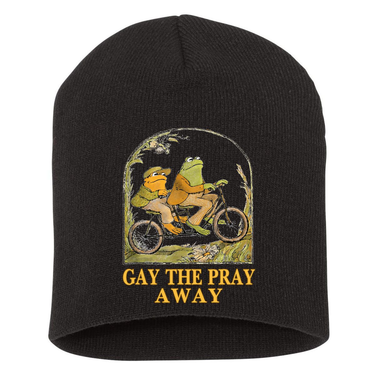 Retro Gay The Pray Away Frog &Toad Say Gay Rights Lgbt Pride Short Acrylic Beanie
