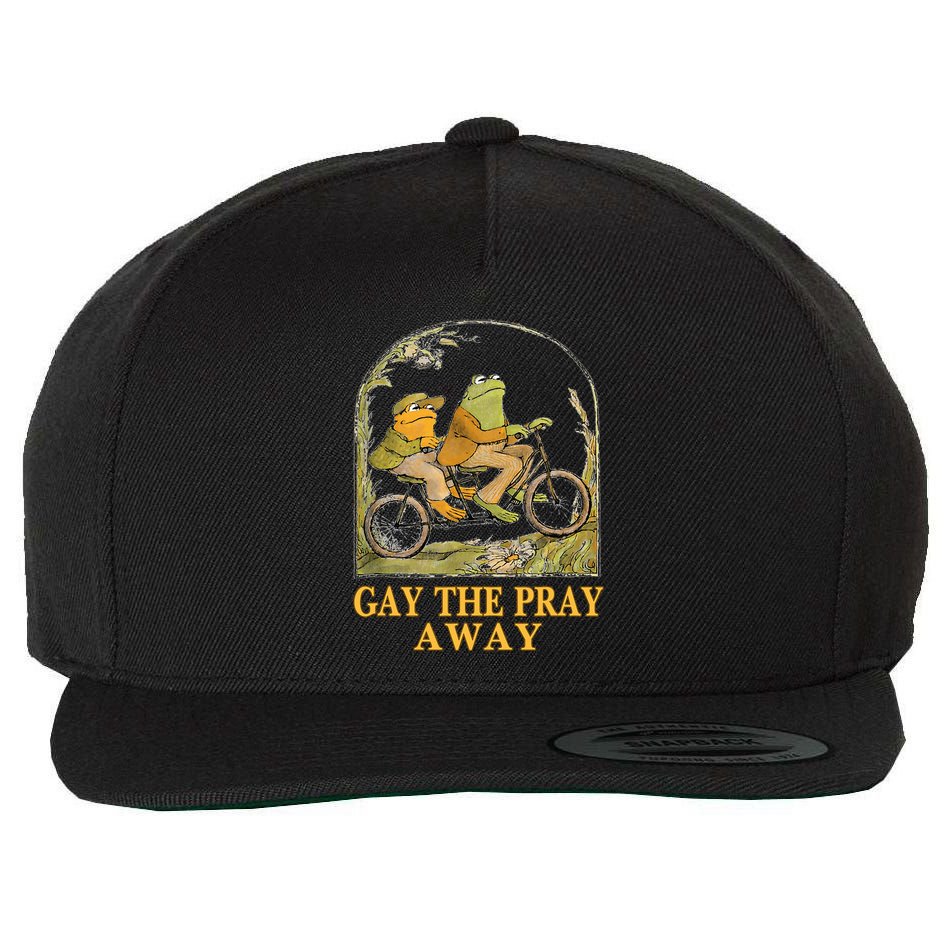 Retro Gay The Pray Away Frog &Toad Say Gay Rights Lgbt Pride Wool Snapback Cap