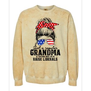 Regular Grandma Trying Not To Raise Liberals Voted For Trump Colorblast Crewneck Sweatshirt