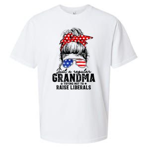 Regular Grandma Trying Not To Raise Liberals Voted For Trump Sueded Cloud Jersey T-Shirt