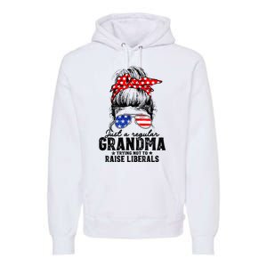 Regular Grandma Trying Not To Raise Liberals Voted For Trump Premium Hoodie