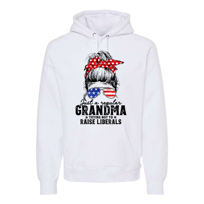 Regular Grandma Trying Not To Raise Liberals Voted For Trump Premium Hoodie