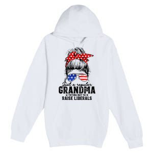 Regular Grandma Trying Not To Raise Liberals Voted For Trump Premium Pullover Hoodie