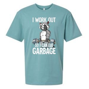 Raccoon Gym Weight Training I Work Out So I Can Eat Garbage Sueded Cloud Jersey T-Shirt