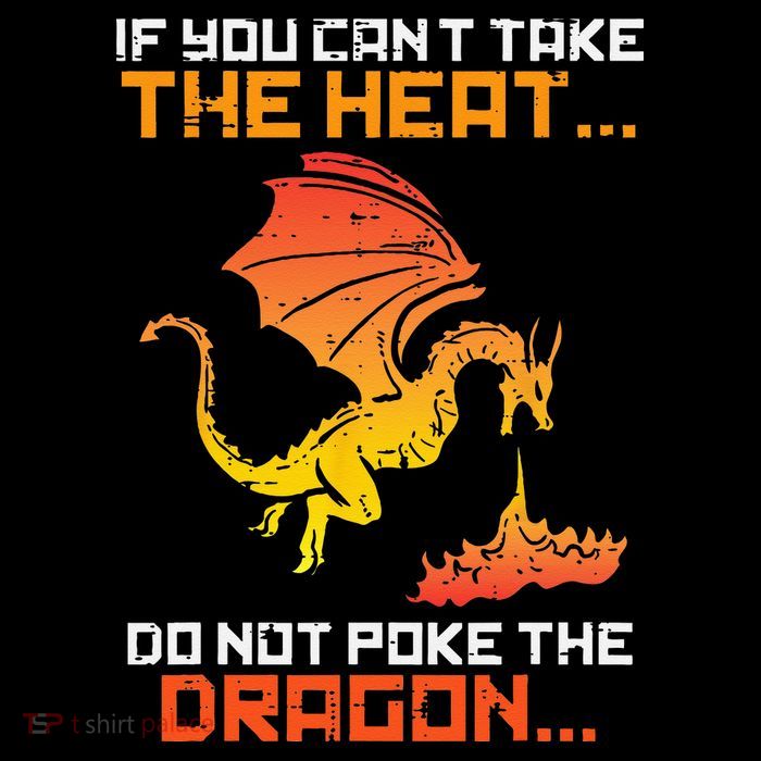 Rpg Gamer You Cant Take The Heat Funny Premium T-Shirt