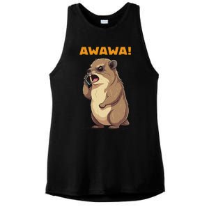 Rock Hyrax Awawa Angry Phonecall Ladies PosiCharge Tri-Blend Wicking Tank